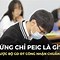 Học Sinh Trung Học Cơ Sở Tiếng Trung Là Gì