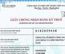 Mã Số Thuế Của Tôi Là Gì